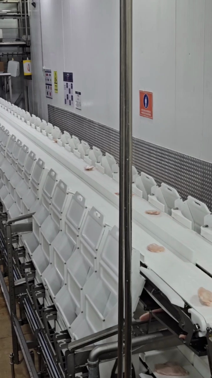 Wide conveyor and tray flow still