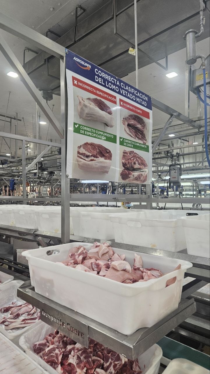 Correct classification of half trimmed pork loin visual guide