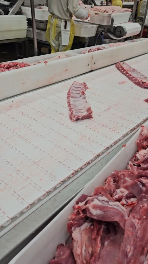 Rosario rib cutting video still
